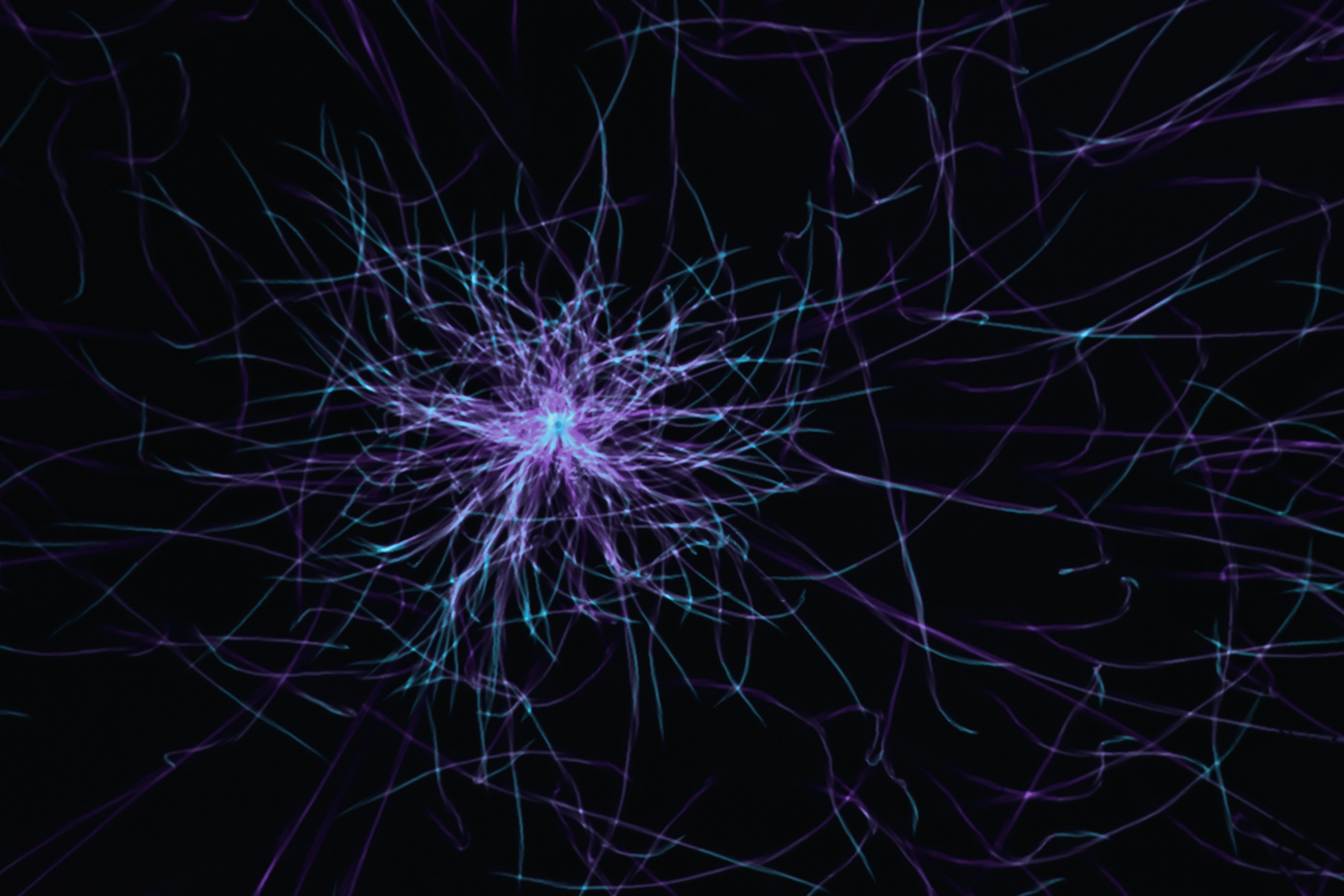 Is Brain Entrainment the Same as Meditation?